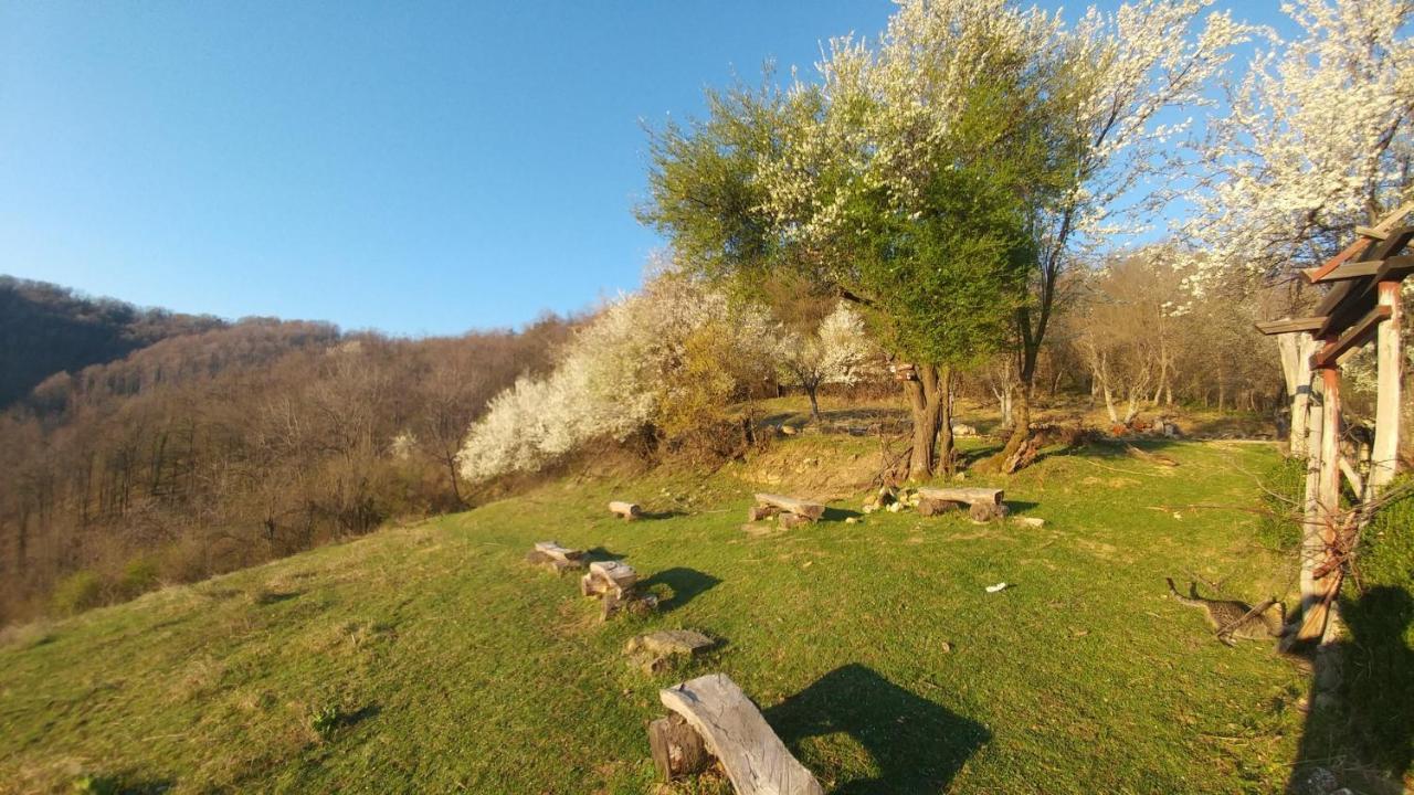 Арт Комплекс Горски Дом - Трявна Dış mekan fotoğraf